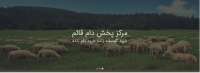 مرکز پخش دام قائم