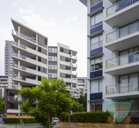 About  Beverly Painting